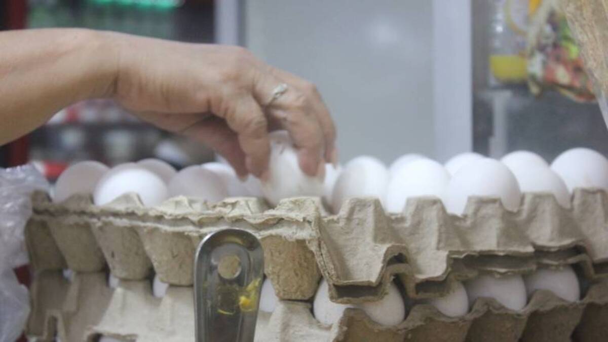 El precio del huevo blanco baja 10 pesos en Mazatlán, Sinaloa