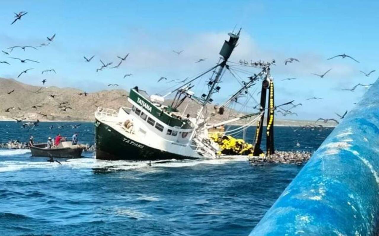 Los pescadores de Bahía Magdalena denuncian negligencia en el hundimiento de una embarcación en Baja California Sur