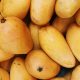 Productores de mango se capacitan en seguridad alimentaria para cumplir con los estándares de higiene