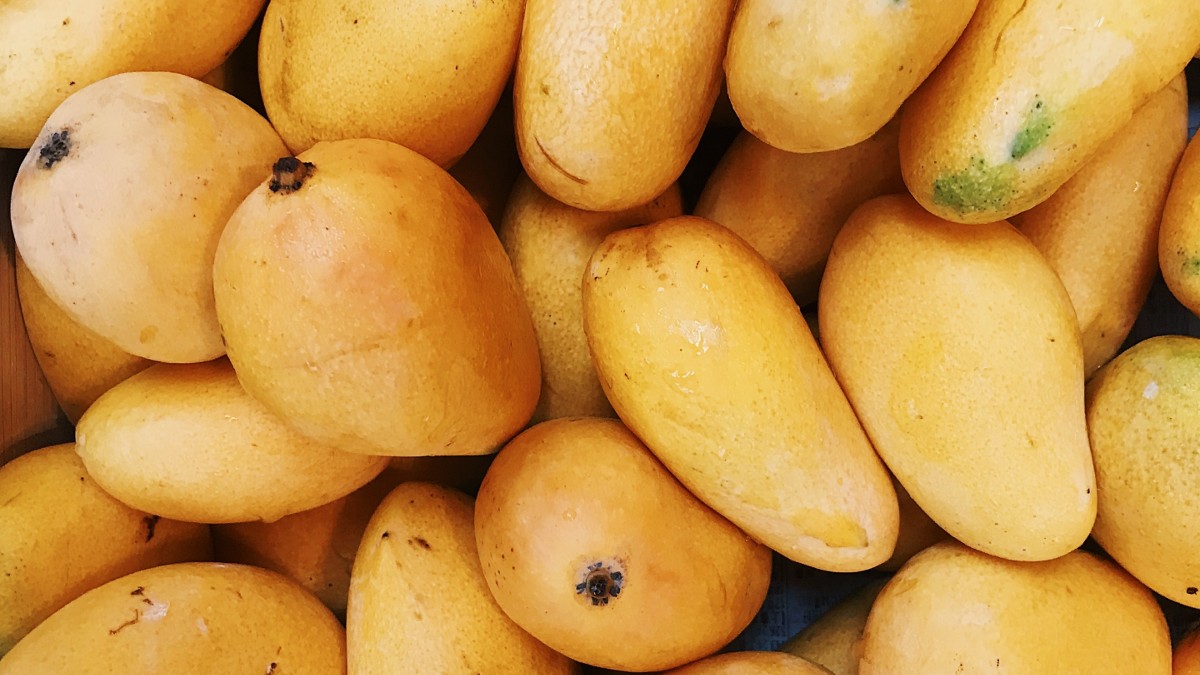Los productores de mango se capacitan en seguridad alimentaria para cumplir con los estándares de higiene