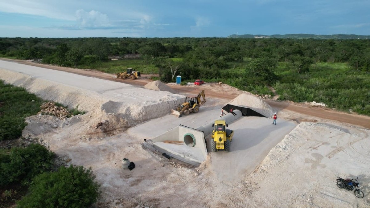 Cenotes donde se construye el Tren Maya se protegerán con segundos pisos: AMLO
