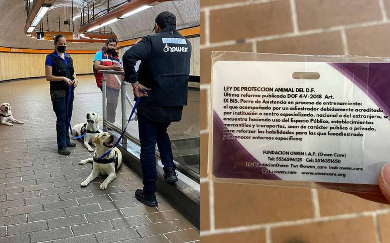 El Metro saca de sus instalaciones cachorros guía en entrenamiento por falta de permiso