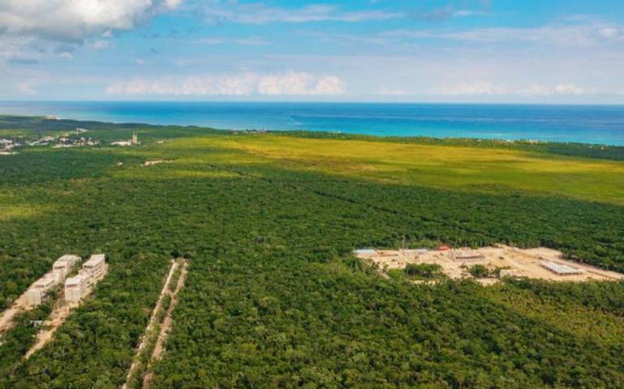 El gobierno de López Obrador quiere concesionar a la Sedena el Parque Nacional del Jaguar en Quintana Roo