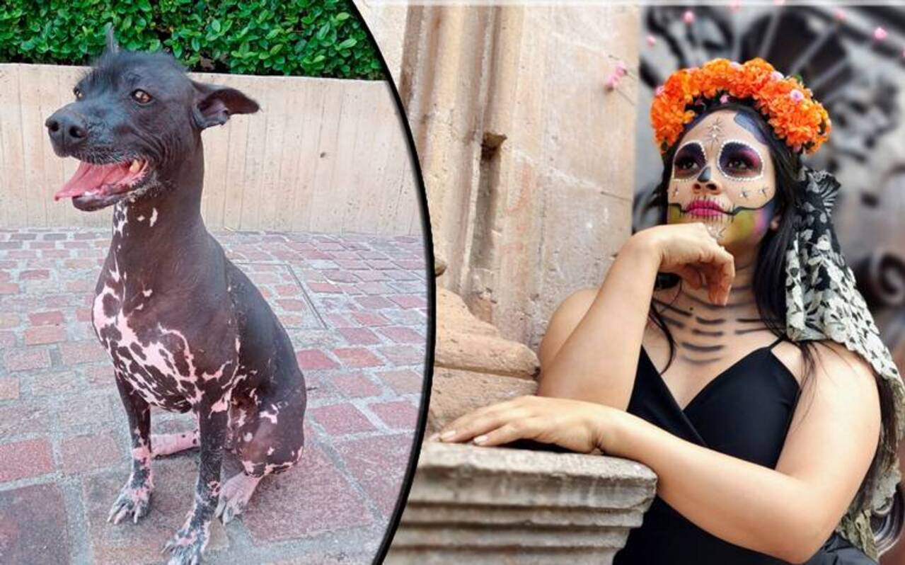 Los xoloitzcuintles son los perros mexicanos guardianes de los espíritus en su camino al Mictlán