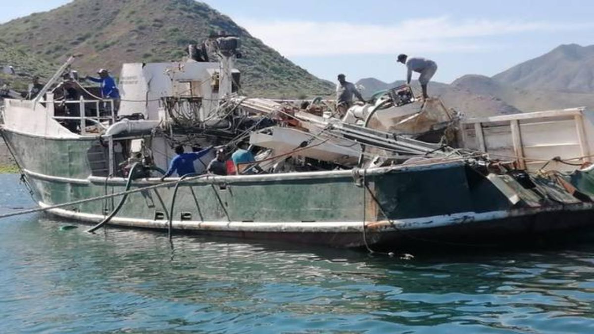 Logran rescatar el barco sardinero “Tatiana” hundido en Puerto San Carlos