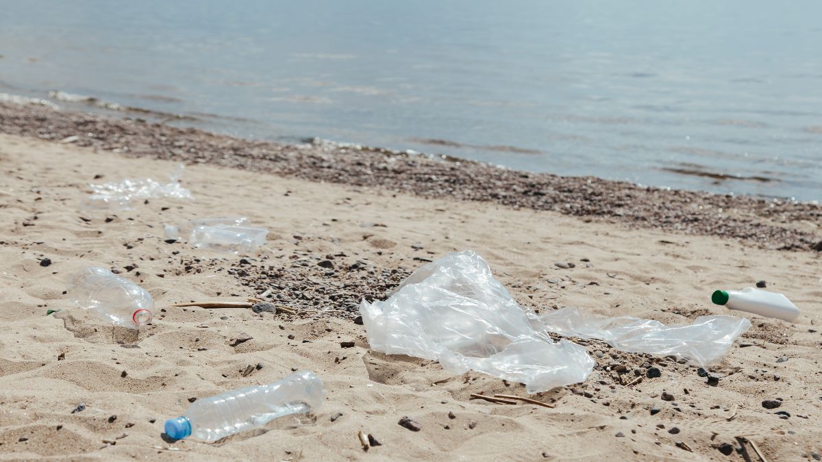 La basura que llega al mar sigue aumentando; para 205 habrá más plásticos que peces