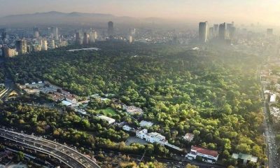 9 de 10 obras del Proyecto Bosque de Chapultepec van retrasadas