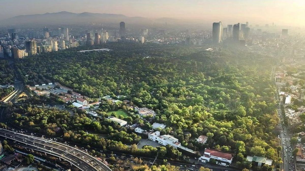 9 de 10 obras del Proyecto Bosque de Chapultepec van retrasadas