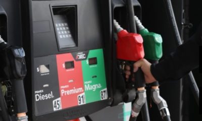 Estímulos fiscales para evitar alza en el precio de las gasolinas cuestan más de 307 mil mdp