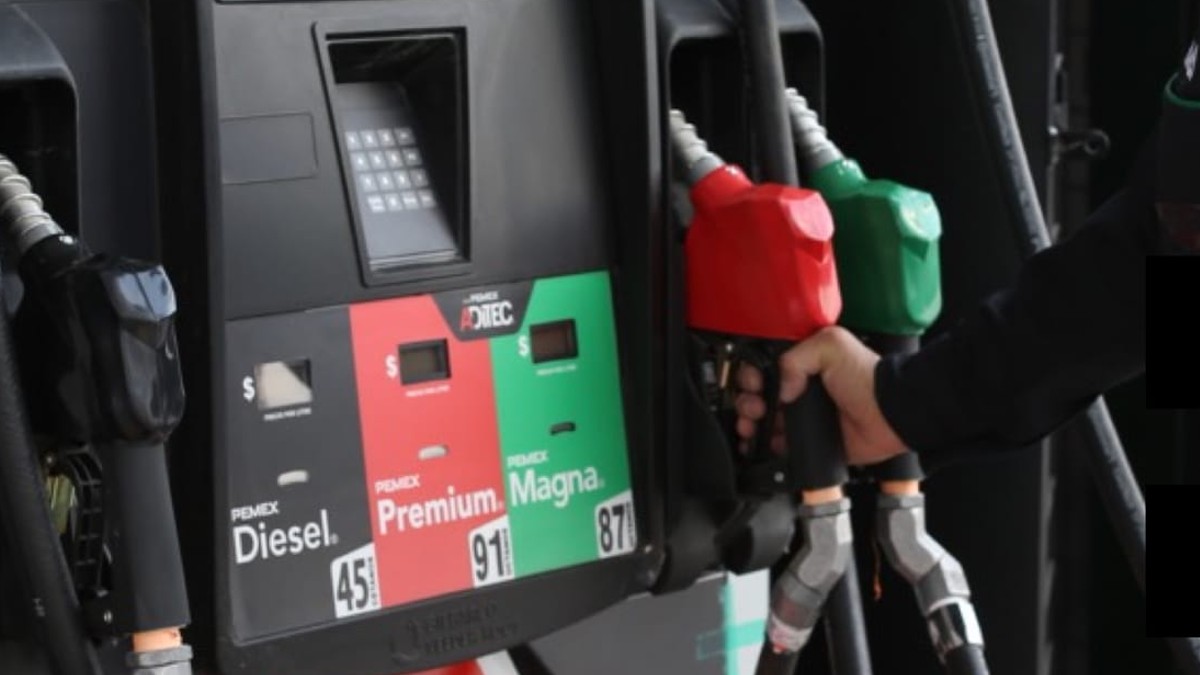 Estímulos fiscales para evitar alza en el precio de las gasolinas cuestan más de 307 mil mdp