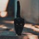 Detrás del mito de la mala suerte de los gatos negros