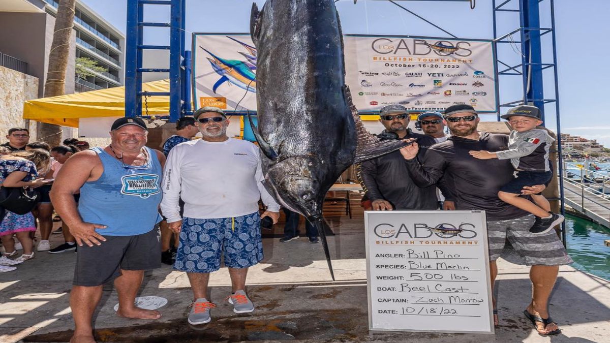 Capturan marlin azul de más de 200 kilos en “Los Cabos Billfish”