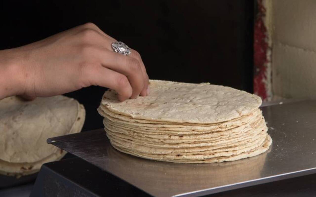 Tampico está entre las cuatro ciudades donde se vende más caro el kilo de tortilla en México