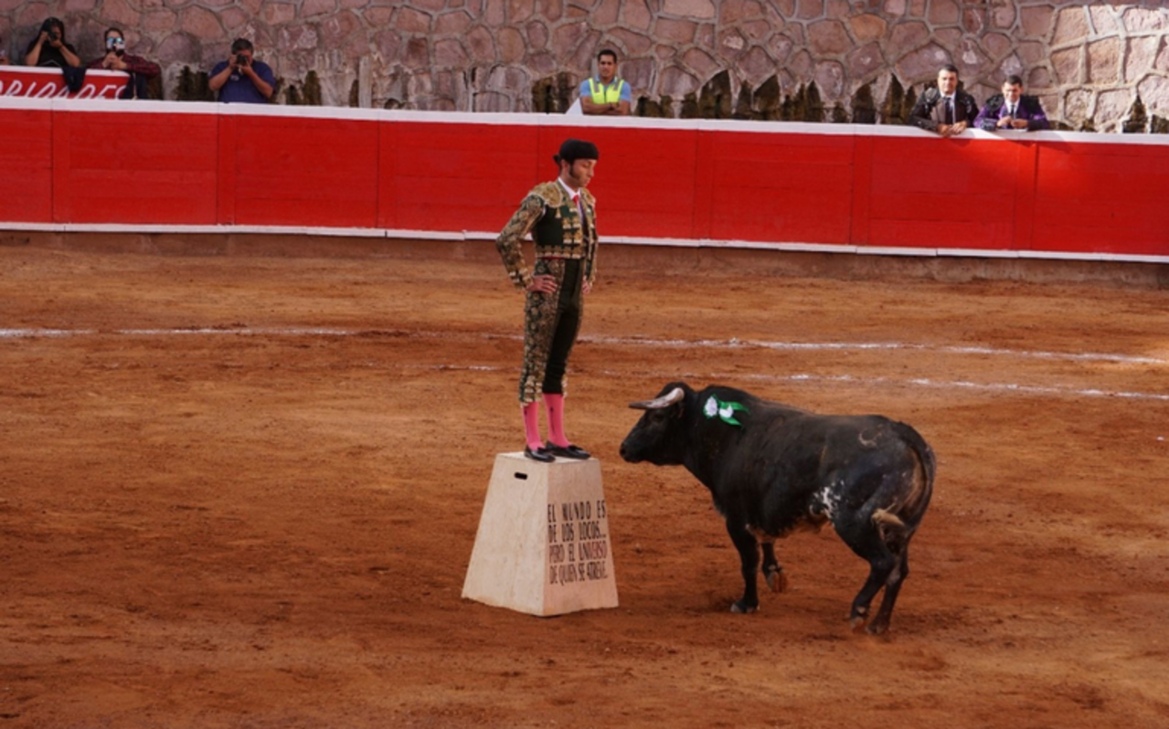 La idea es prohibir las corridas de toros, porque los animales no están para divertirnos: AnimaNaturalis