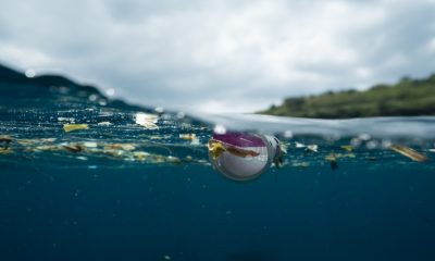 Un mar de basura: Uno de los problemas más urgentes del mundo