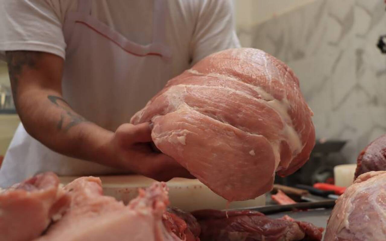 La producción de carne de cerdo demanda la creación de 350 mil empleos directos: Opormex