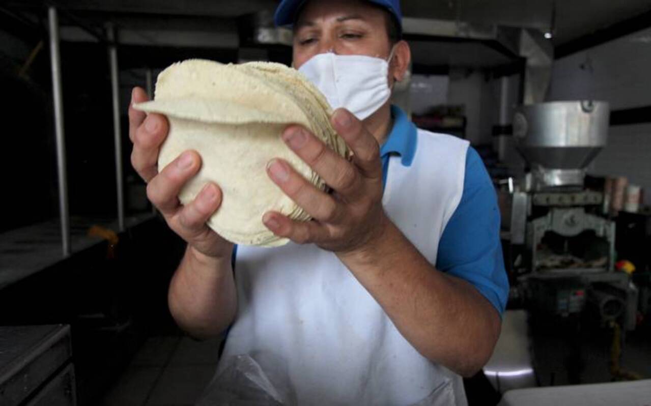 El gobierno de Guanajuato apoyará a los industriales de la tortilla