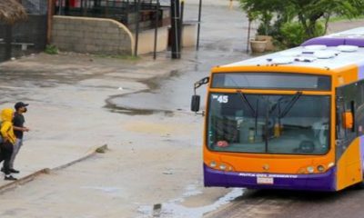 Autoridades otorgarán más concesiones para transporte público en Los Cabos