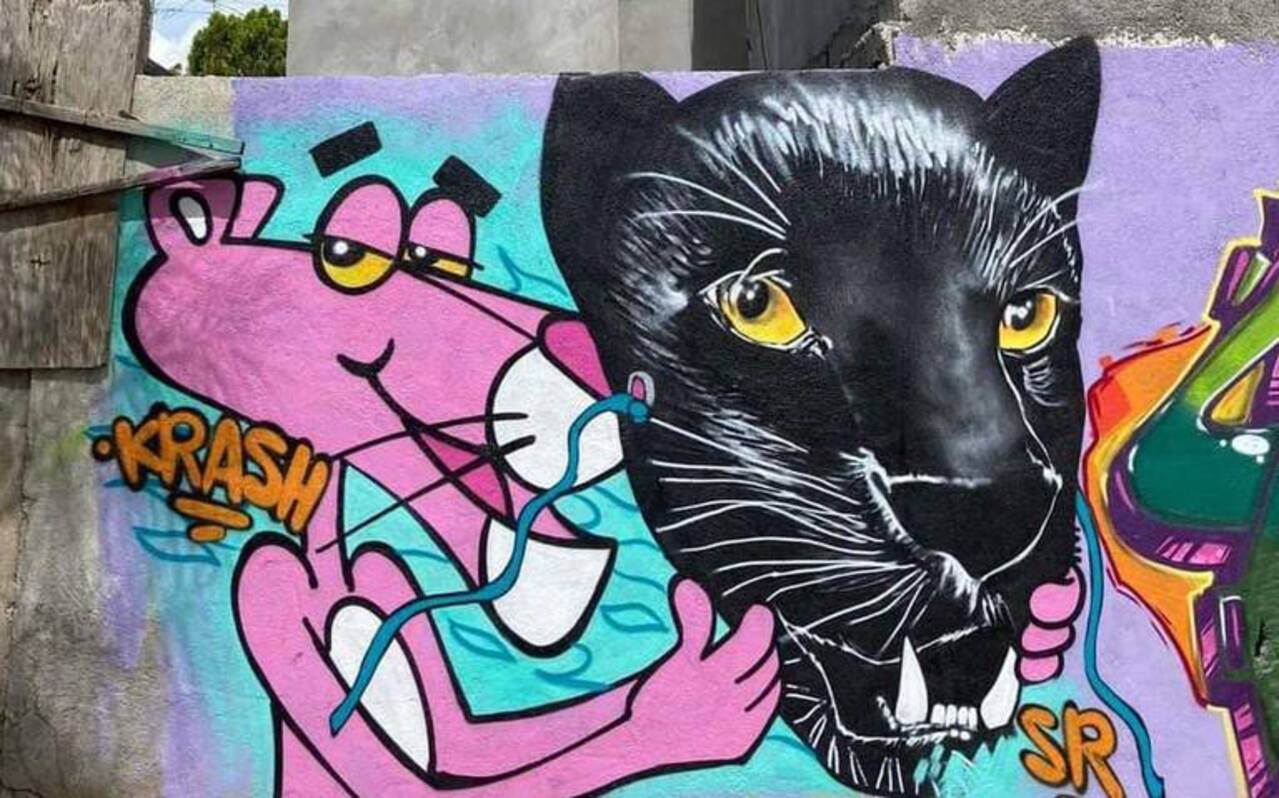 El graffiti en San Luis Potosí es un arte no valorado y considerado antiestético