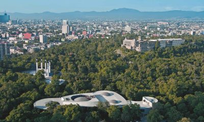Fresnos, cedros y otras especies serán los nuevos huéspedes en el Bosque de Chapultepec
