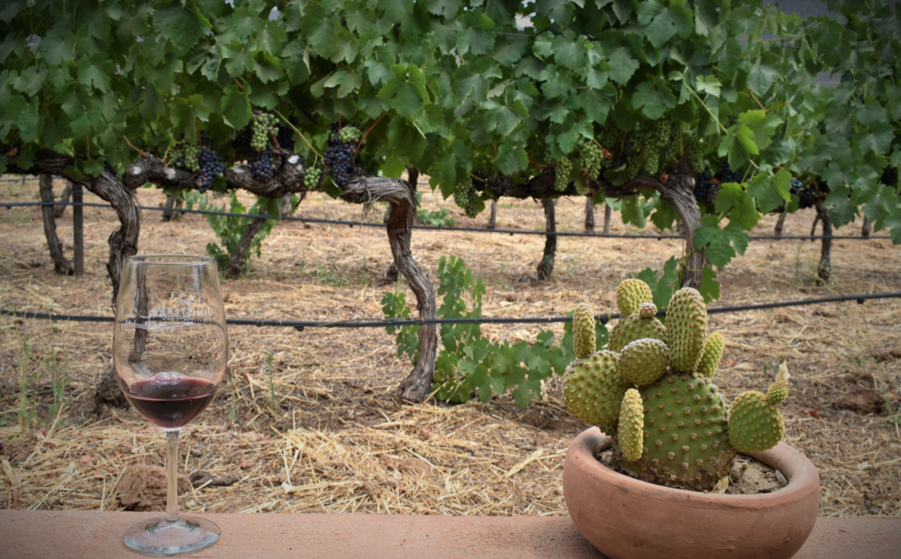 Los vinos de Baja California lideran concursos internacionales