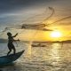 Precios históricos: Pescadores ribereños (BCS) tiene cifras positivas al final del año