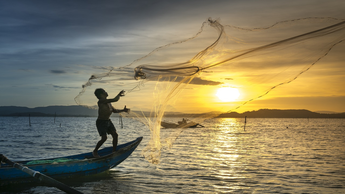 Precios históricos: Pescadores ribereños (BCS) tiene cifras positivas al final del año