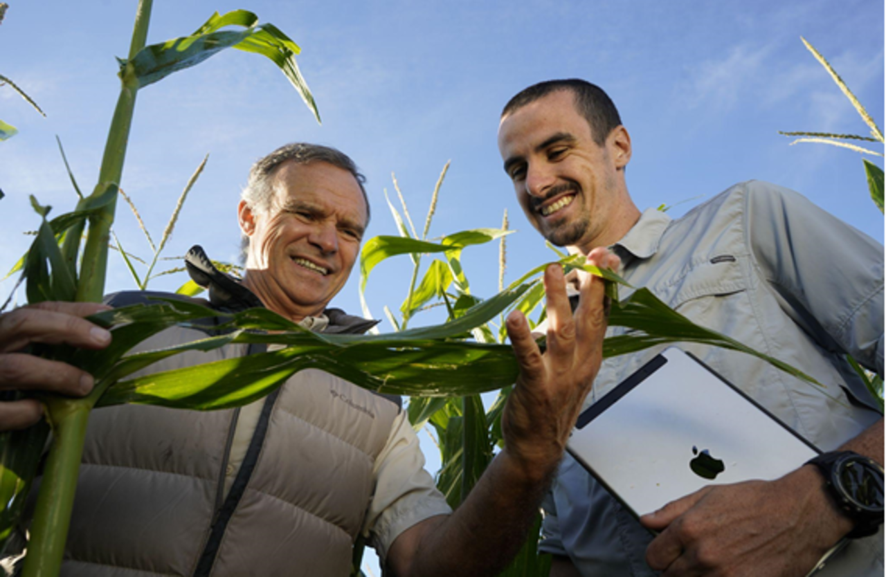 Necesaria la transformación digital para mejorar la cadena productiva del campo: AgroPro