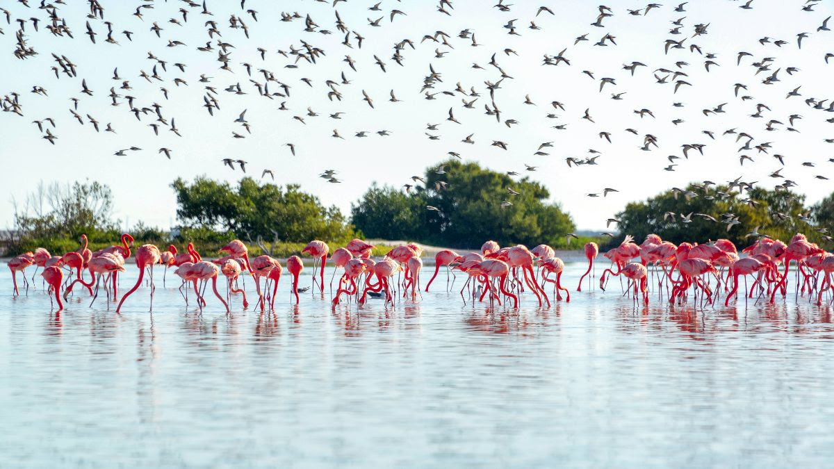 Yucatán, uno de los destinos imperdibles en el mundo para viajar en 2023: Condé Nast Traveler