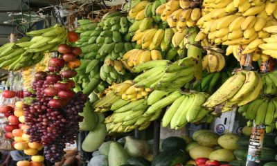 Agricultura trabaja para que productores exporten fruta a mercados como EU, la Unión Europea y Japón