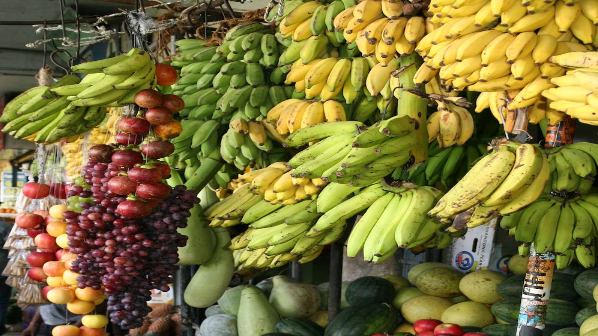 Agricultura trabaja para que productores exporten fruta a mercados como EU, la Unión Europea y Japón