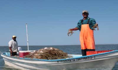 Filtración del crimen organizado daña al sector pesquero de México