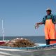 Filtración del crimen organizado daña al sector pesquero de México