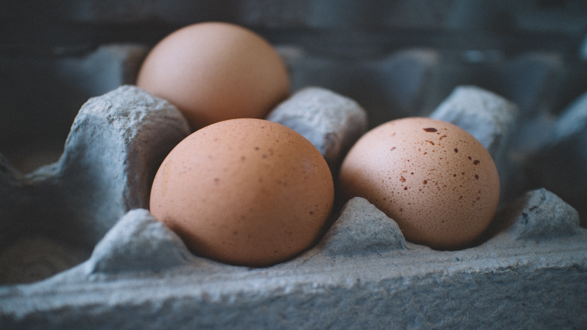 ¿Conoces los beneficios a la salud de consumir huevo?