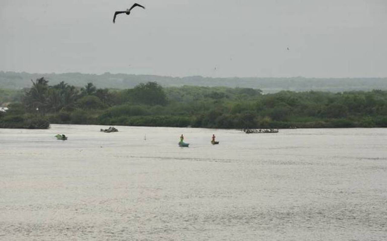 ¿Sabes en qué ríos y lagunas de Tampico y Veracruz inicia la pesca de lisa?