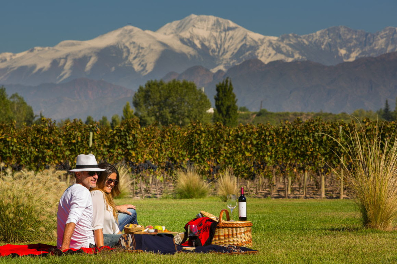 ¿Ya sabes cómo vas a celebrar San Valentín? Los viñedos de Mendoza (Argentina) son una opción