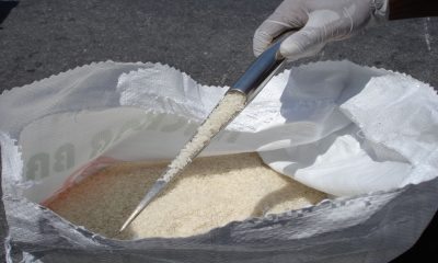Senasica abrirá el mercado mexicano al arroz pakistaní, evitando el ingreso de plagas exóticas