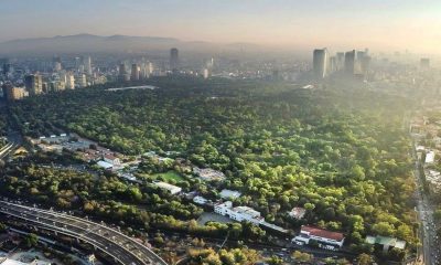 Cancelan siete proyectos del Complejo Cultural Bosque de Chapultepec