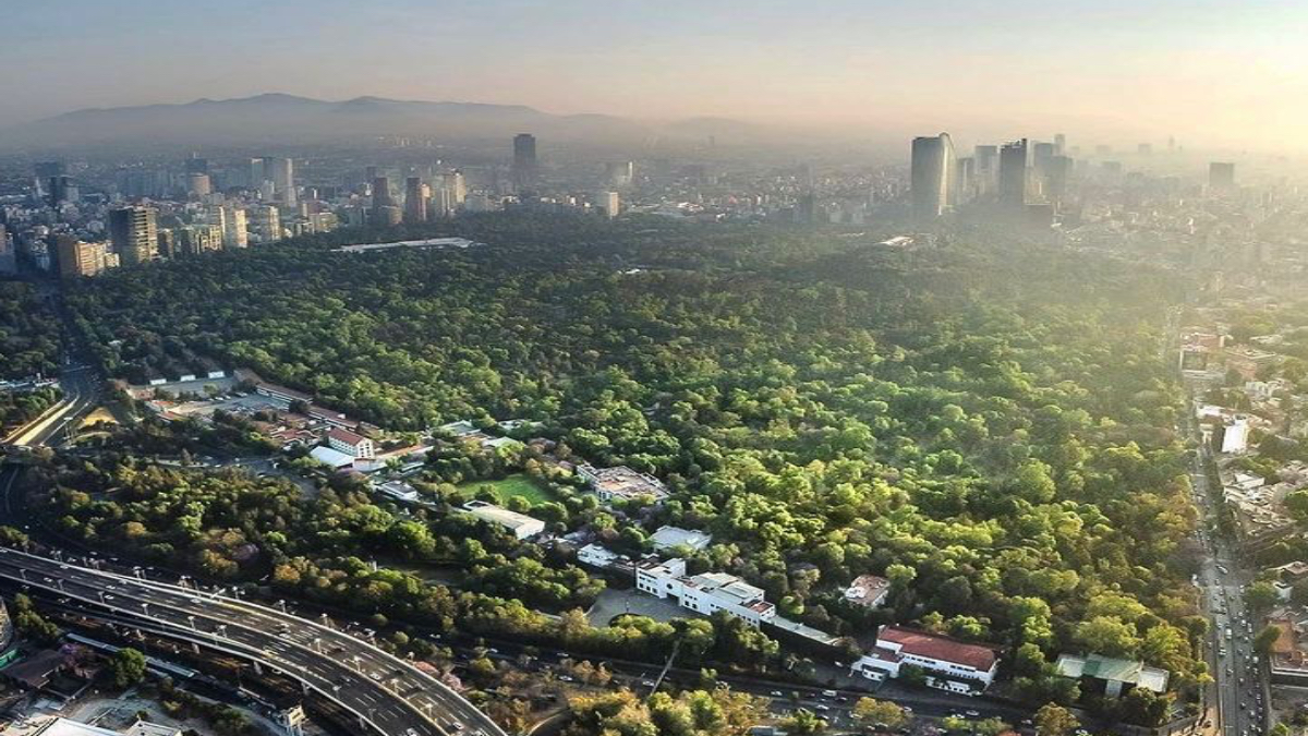 Cancelan siete proyectos del Complejo Cultural Bosque de Chapultepec