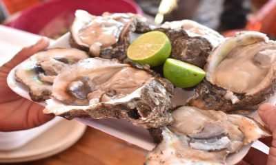 Un éxito: Feria del Ostión 2023 en Sinaloa deja derrama de 17 mdp en hostelerías, restaurantes y comercios