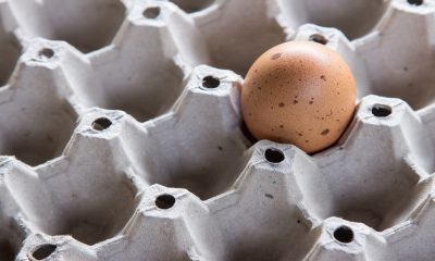 Comienza el desabasto de huevo en la frontera por escasez y la alta demanda
