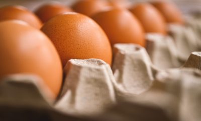 En Mazatlán, el precio del huevo supera los 100 pesos en comercios