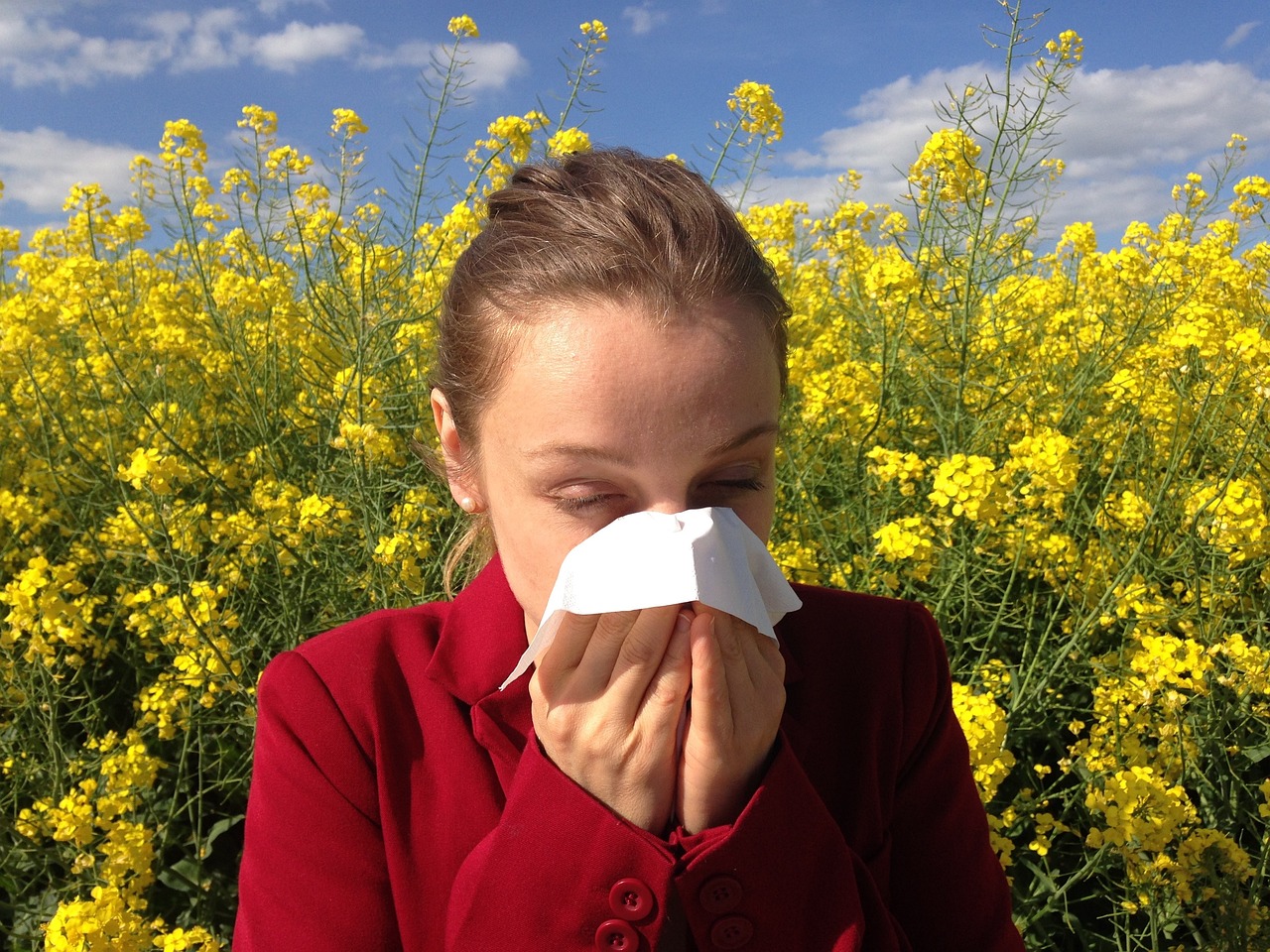 ¿Eres del siete por ciento de los mexicanos que tiene una alergia estacional?