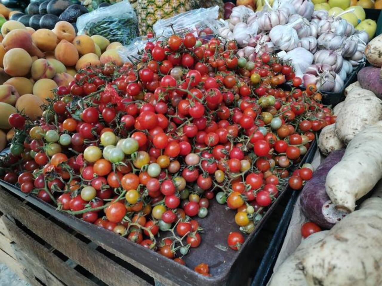Los tomatillos silvestres son la herencia de la cocina mexicana que pocos disfrutan