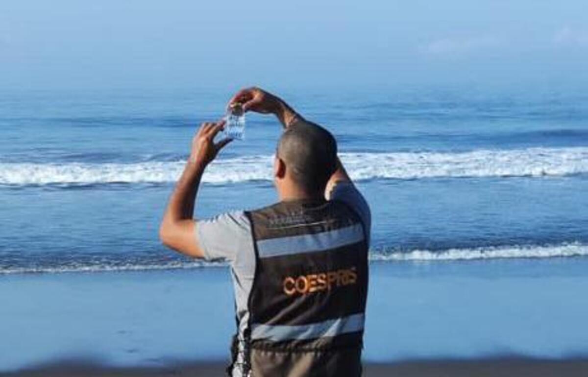 Playa Rosarito, Playas de Tijuana y Playas de Tijuana I rebasan los límites establecidos de enterococos: Cofepris