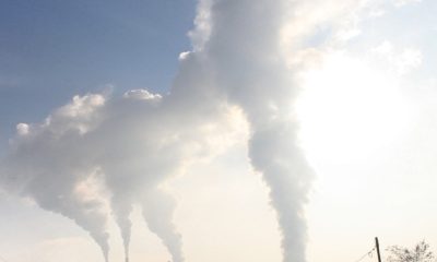 El Cerca pide frenar emisiones contaminantes en BCS generadas por termoeléctricas de CFE