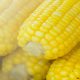 Senadores del PRI piden a Agricultura y Hacienda evitar que prohibición de maíz transgénico afecte el precio de la tortilla 