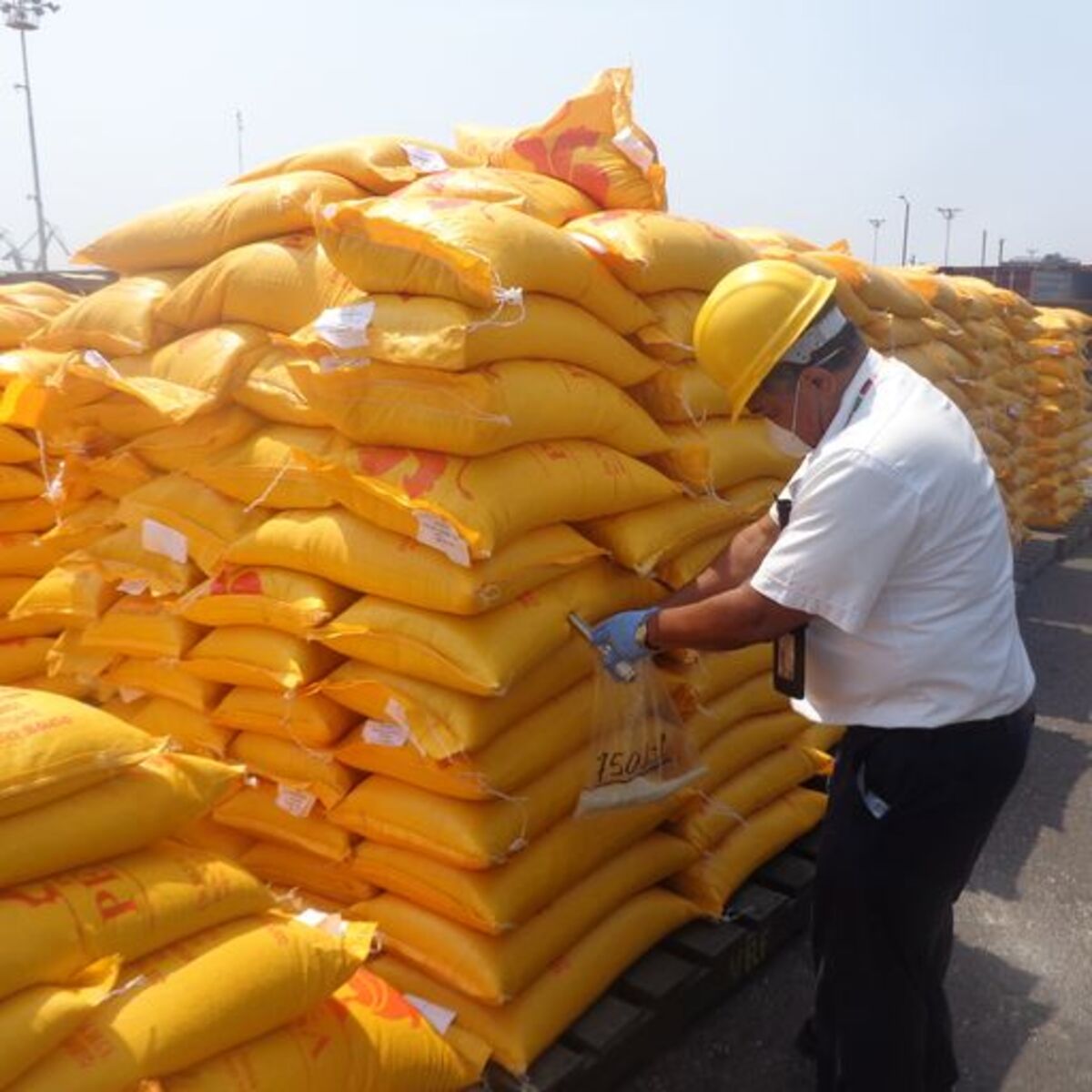 México busca importar arroz de Paraguay de manara segura