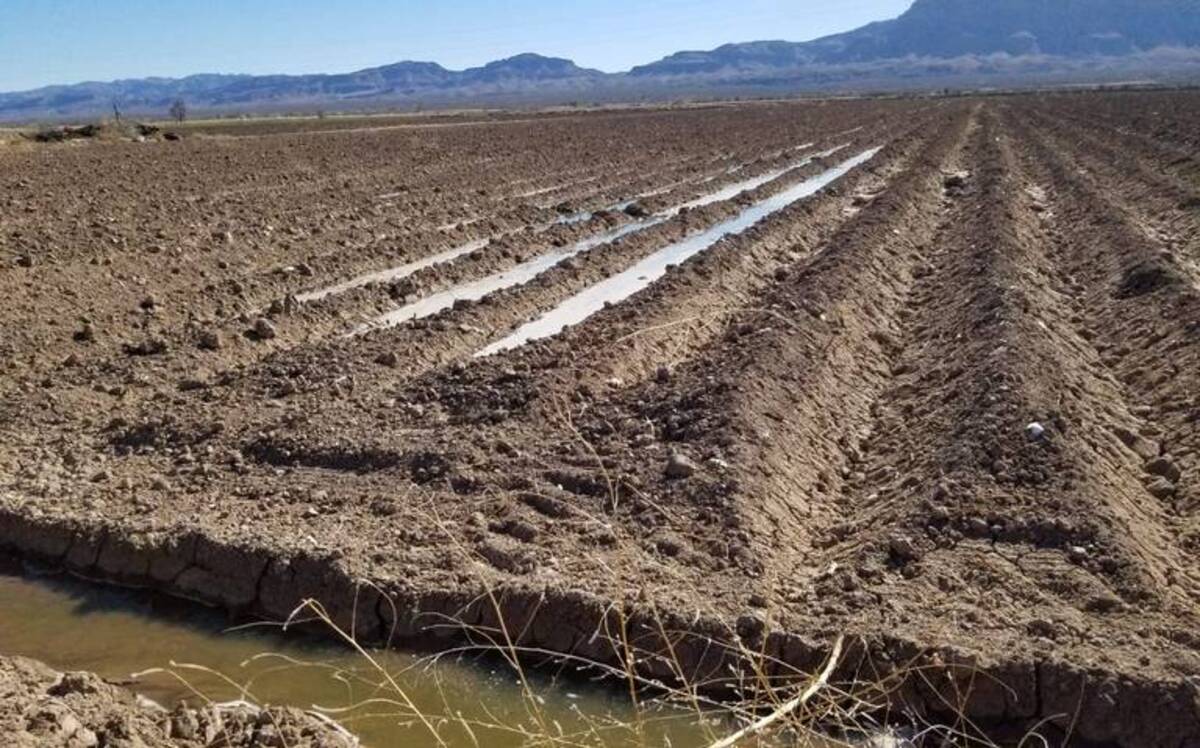 Las extorsiones acaban con la producción agrícola en el Valle de Juárez