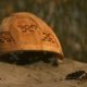 Nest Domes: Un caparazón para proteger el nacimiento de las tortugas marinas